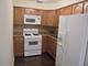 5310 N Chester Unit 301, Chicago, IL 60656