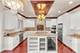 1948 Saddle Farm, Naperville, IL 60564