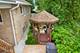 3636 N Paris, Chicago, IL 60634