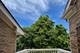 14410 Crystal Tree, Orland Park, IL 60462