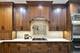 2009 Mackenzie Unit 2009, Wheaton, IL 60187