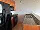 1550 S Blue Island Unit 912, Chicago, IL 60608