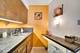 300 N State Unit 3908, Chicago, IL 60654