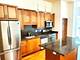 1250 S Indiana Unit 107, Chicago, IL 60605