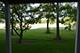 494 W Parkside Unit 494, Palatine, IL 60067
