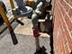 659 Des Plaines Unit 5D, Des Plaines, IL 60016