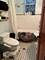 1038 W 32nd Unit 1, Chicago, IL 60608