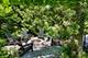395 Greenleaf, Glencoe, IL 60022