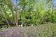 915 Mayfield, Round Lake Beach, IL 60073