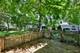 737 Blaine, Batavia, IL 60510