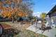 640 Aspen, Frankfort, IL 60423
