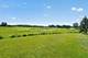 21896 W Vernon Ridge, Ivanhoe, IL 60060
