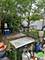 1305 S 51st, Cicero, IL 60804