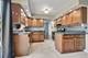 1729 Tina, Flossmoor, IL 60422