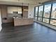 164 N Peoria Unit 3006, Chicago, IL 60607