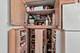 8924 Kenneth Unit 101A, Des Plaines, IL 60016