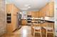 1049 W Ainslie Unit 2, Chicago, IL 60640