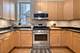 1049 W Ainslie Unit 2, Chicago, IL 60640