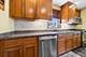11020 S Lawndale, Chicago, IL 60655