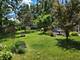 156 Elizabeth, Wood Dale, IL 60191