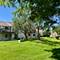 1036 N Pine Tree, Buffalo Grove, IL 60089
