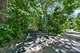 327 Marshman, Highland Park, IL 60035