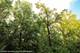 806 Echo (Lot 22), Marengo, IL 60152