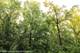 806 Echo (Lot 22), Marengo, IL 60152