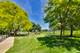 245 Ann, Clarendon Hills, IL 60514