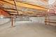 1012 Courtland, Park Ridge, IL 60068