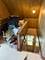 1181 S Harvey, Oak Park, IL 60304