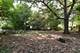 724 S 5th, St. Charles, IL 60174
