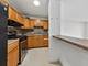 2901 S Michigan Unit 1404, Chicago, IL 60616