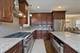 1828 W Berenice, Chicago, IL 60613