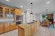 20337 N Lea, Deer Park, IL 60010