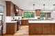 24633 W 103rd, Naperville, IL 60564