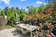 1008 Edward, Prospect Heights, IL 60070