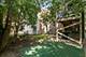 7940 S Evans, Chicago, IL 60619