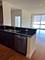 1901 S Calumet Unit 2003, Chicago, IL 60616
