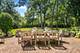306 Sunset Ridge, Northfield, IL 60093