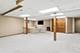 2254 Remington, Naperville, IL 60565