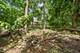 3414 Westridge, Joliet, IL 60431