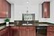 310 E Church Unit 201, Libertyville, IL 60048