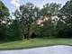 336 Tuttle, Bloomingdale, IL 60108