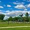508 Sequoia, Oswego, IL 60543
