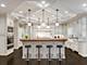 471 S Columbia, Naperville, IL 60540