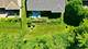 12365 Lilly, Huntley, IL 60142