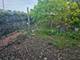7601 Laramie, Burbank, IL 60459