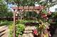 604 E Cedar, Mount Prospect, IL 60056