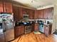 2117 N Stave Unit 1, Chicago, IL 60647